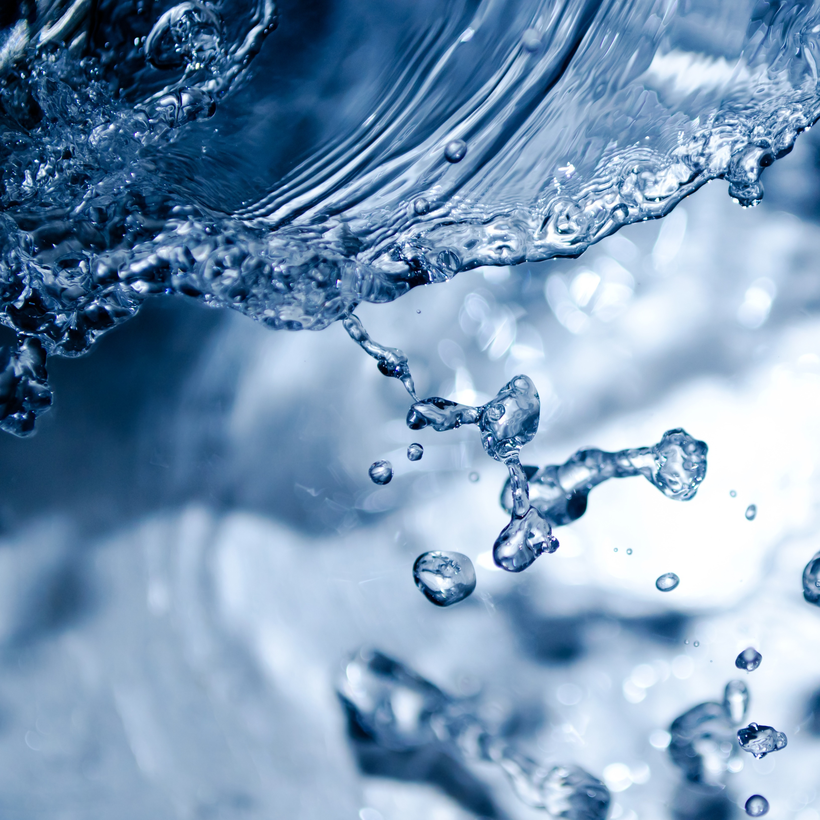 What is so special about Lactobacillus ferment filtrate?